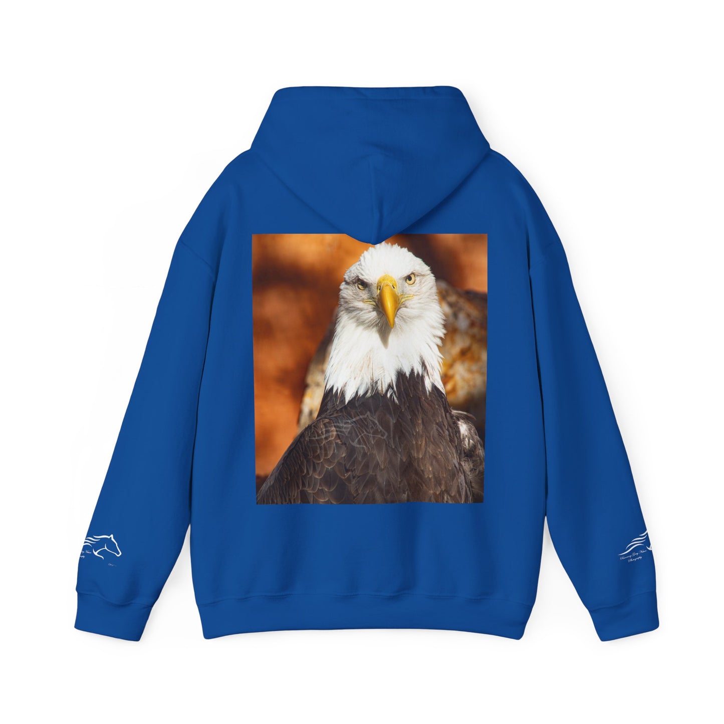 Bald Eagle Hoodie