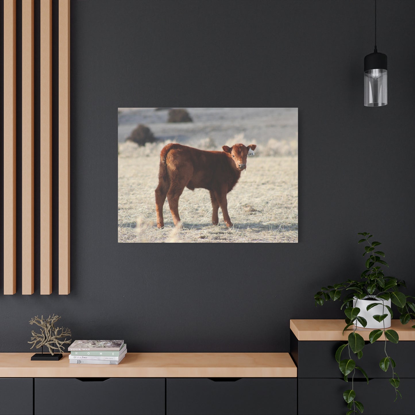 Baby Calf 198 Matte Canvas, Stretched, 1.25"