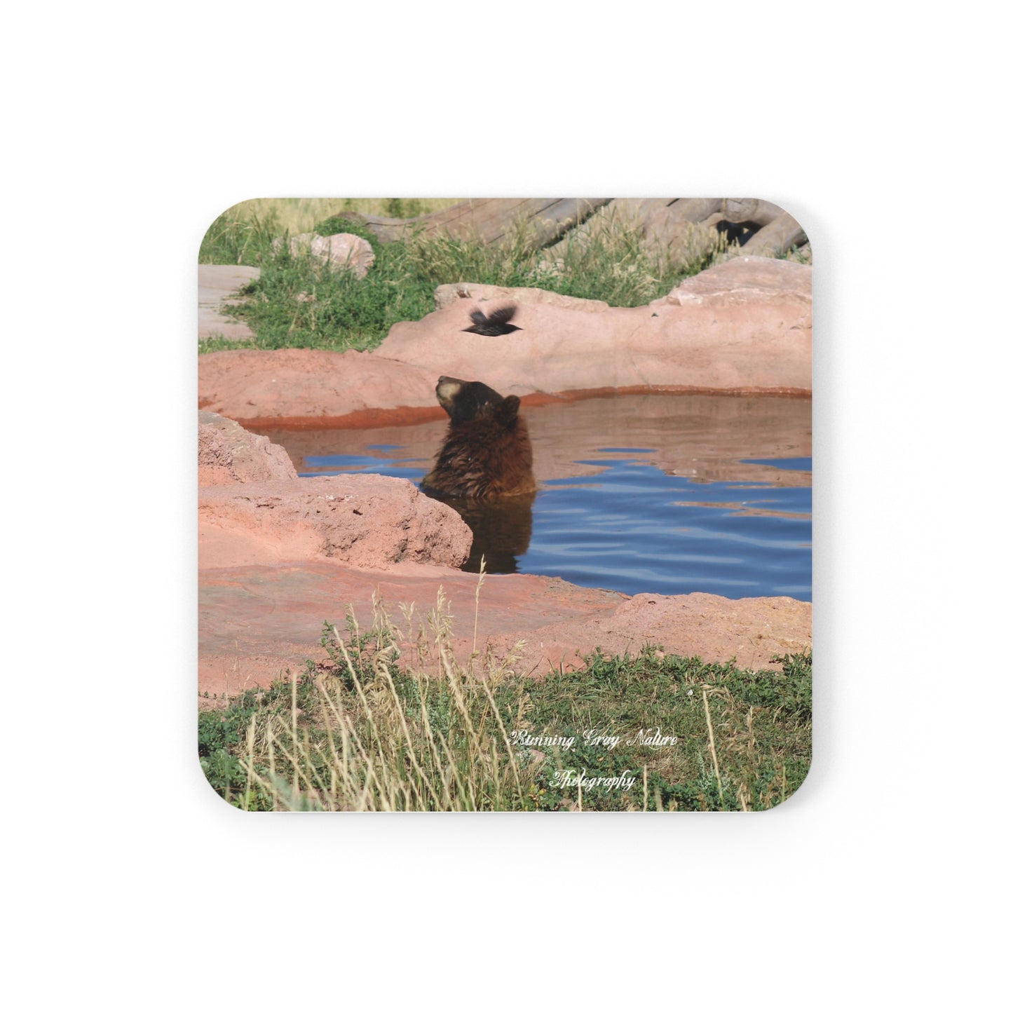 Bird Watching Coaster