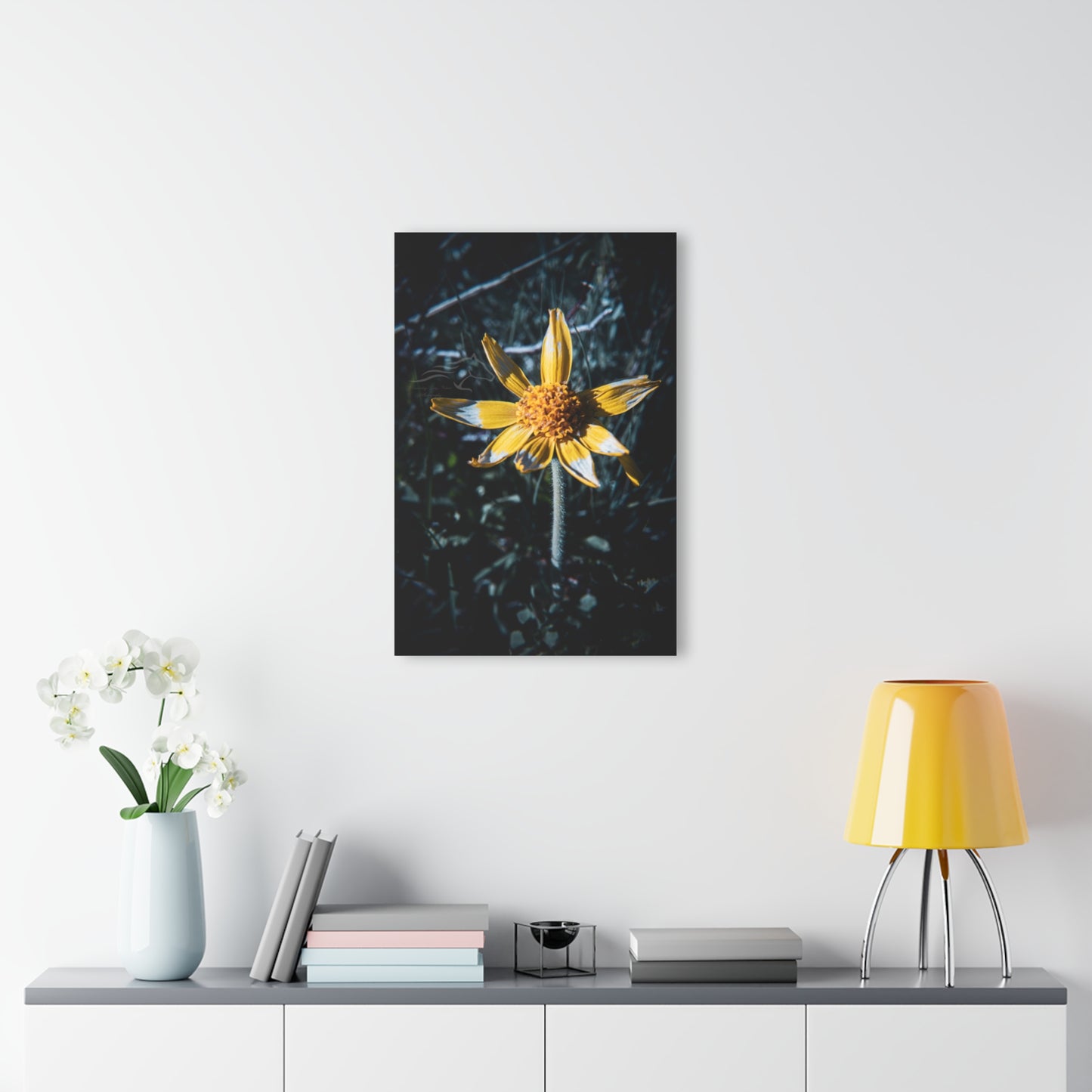 Parish's Goldeneye Acrylic