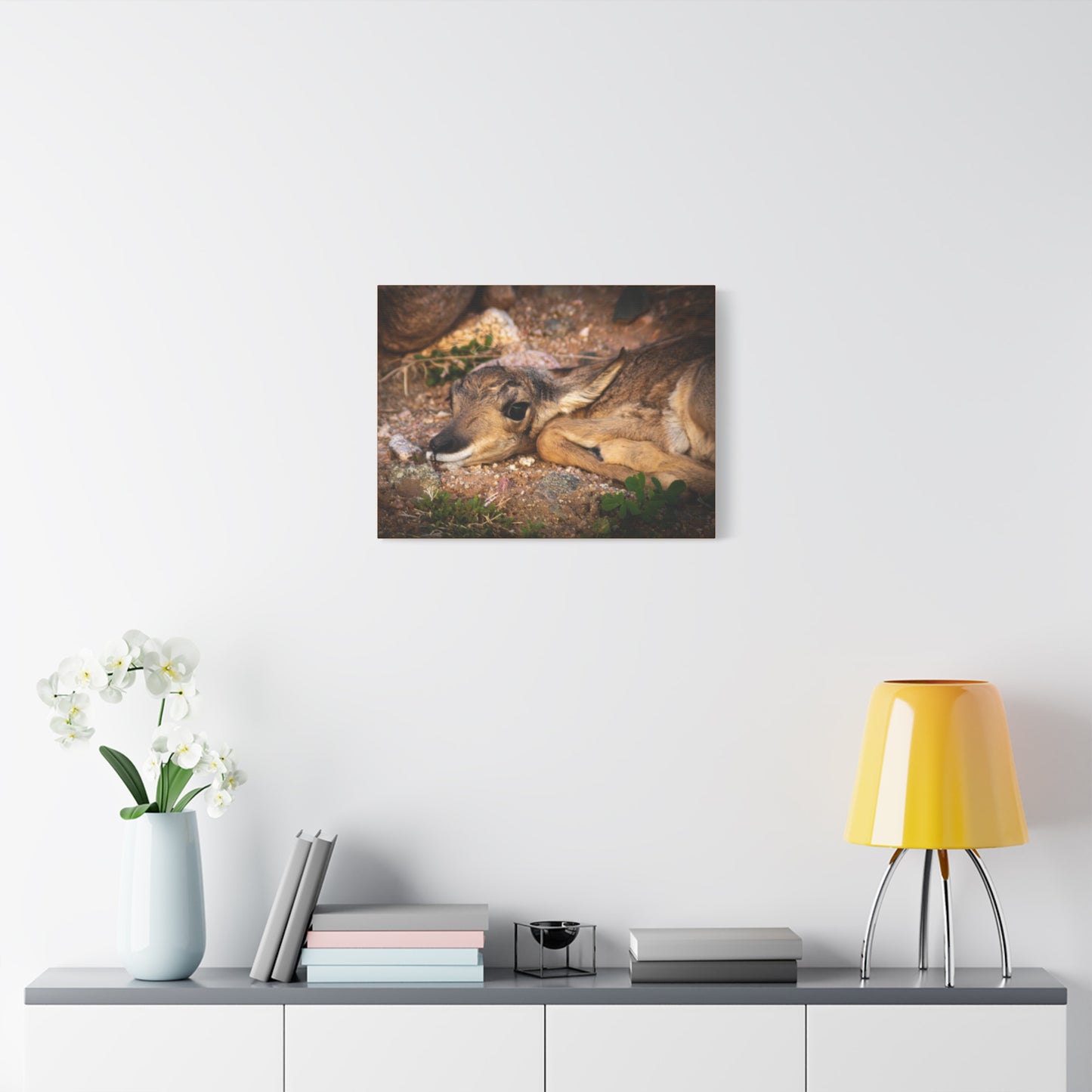 Baby Antelope Canvas