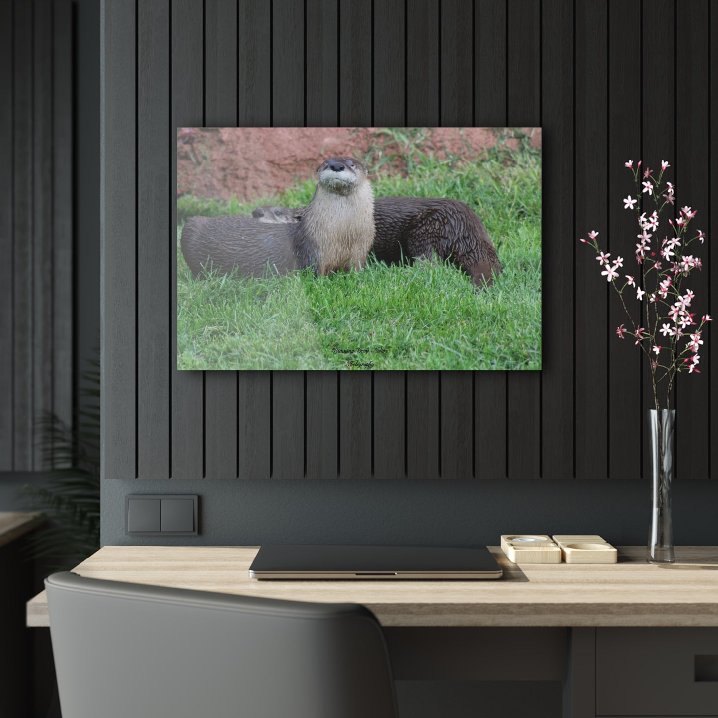 Otters Acrylic Prints