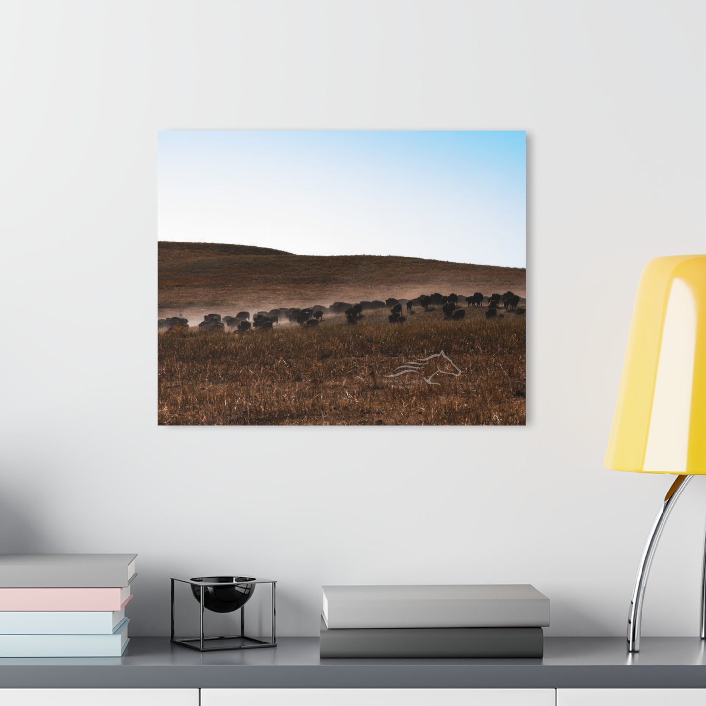 Buffalo Herd Acrylic