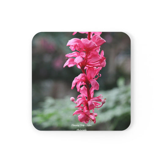 Showy Medinilla  Coaster Set