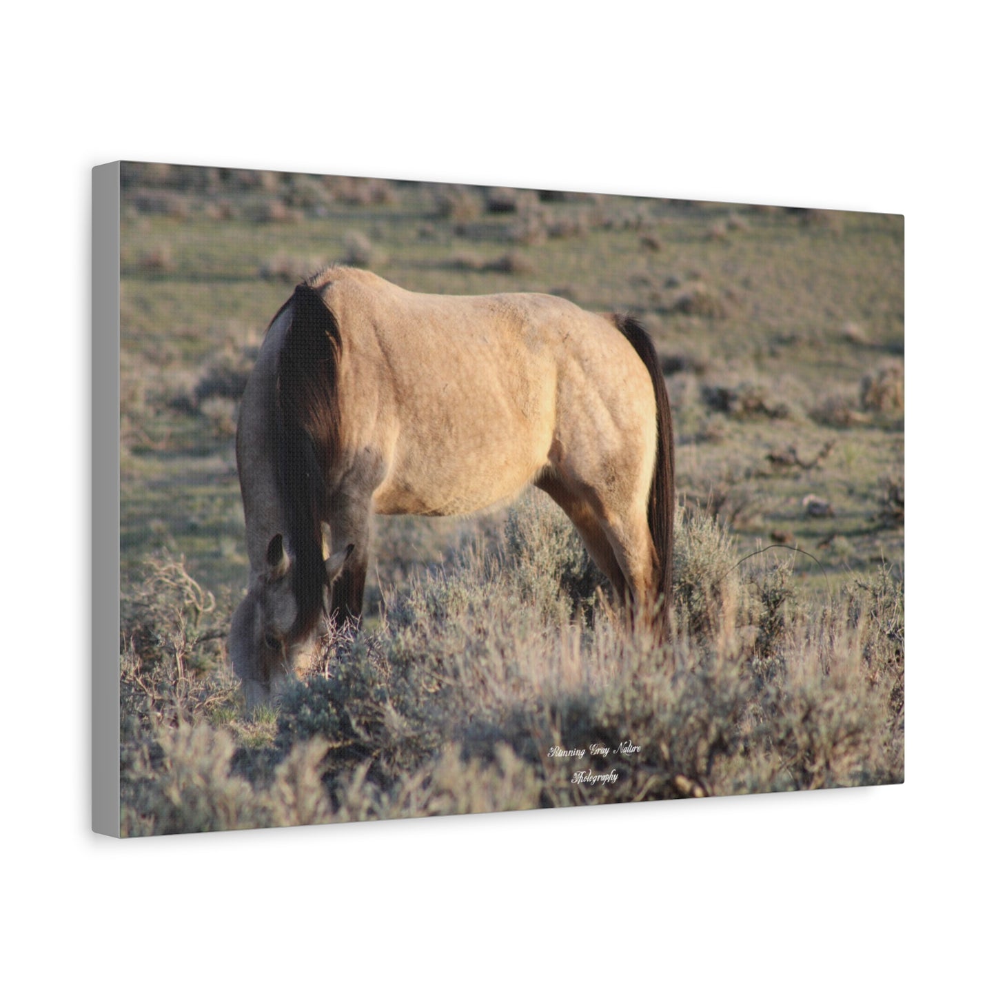 Buckskin Matte Canvas, Stretched, 1.25"