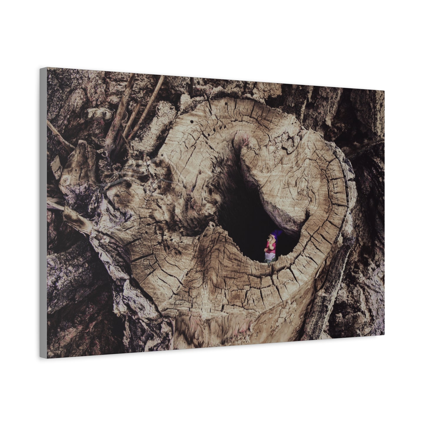 Fairy in a Tree Canvas