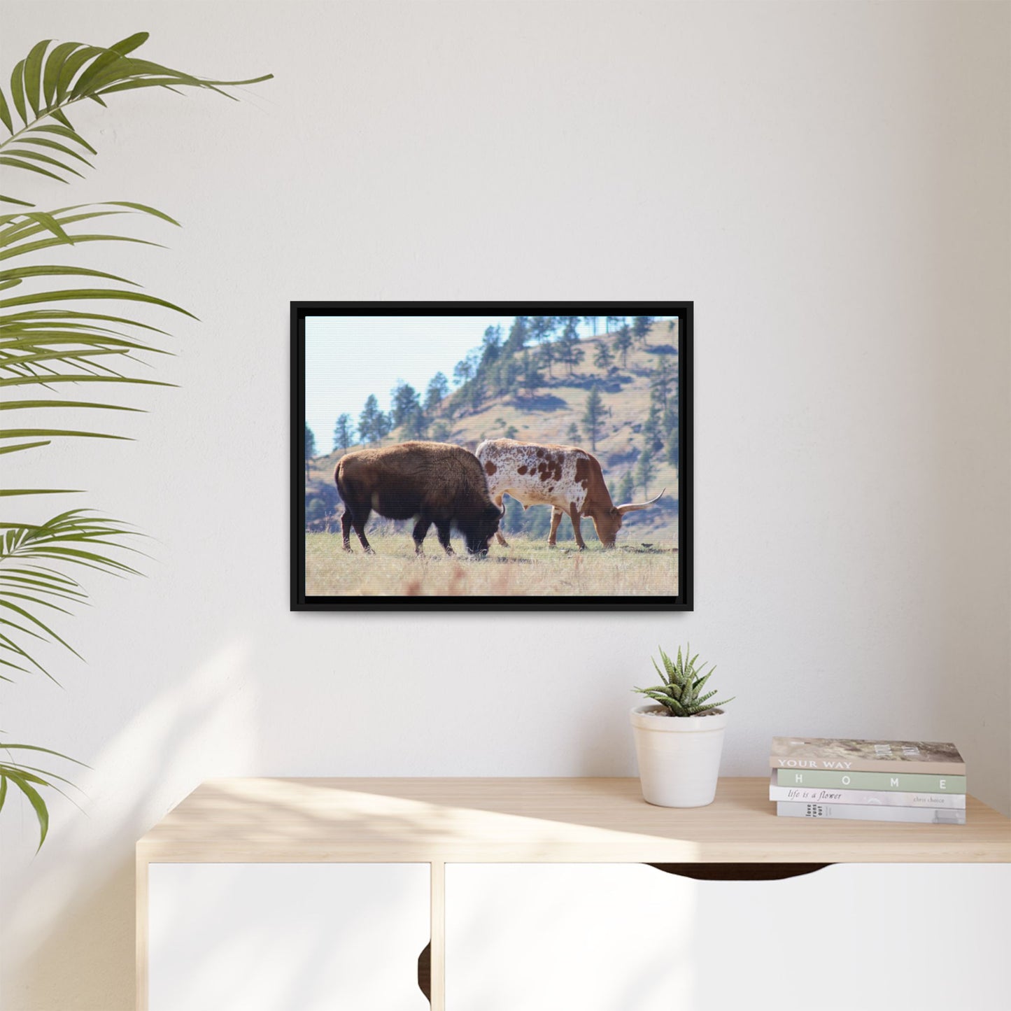 Long Horn and Buffalo Framed Canvas