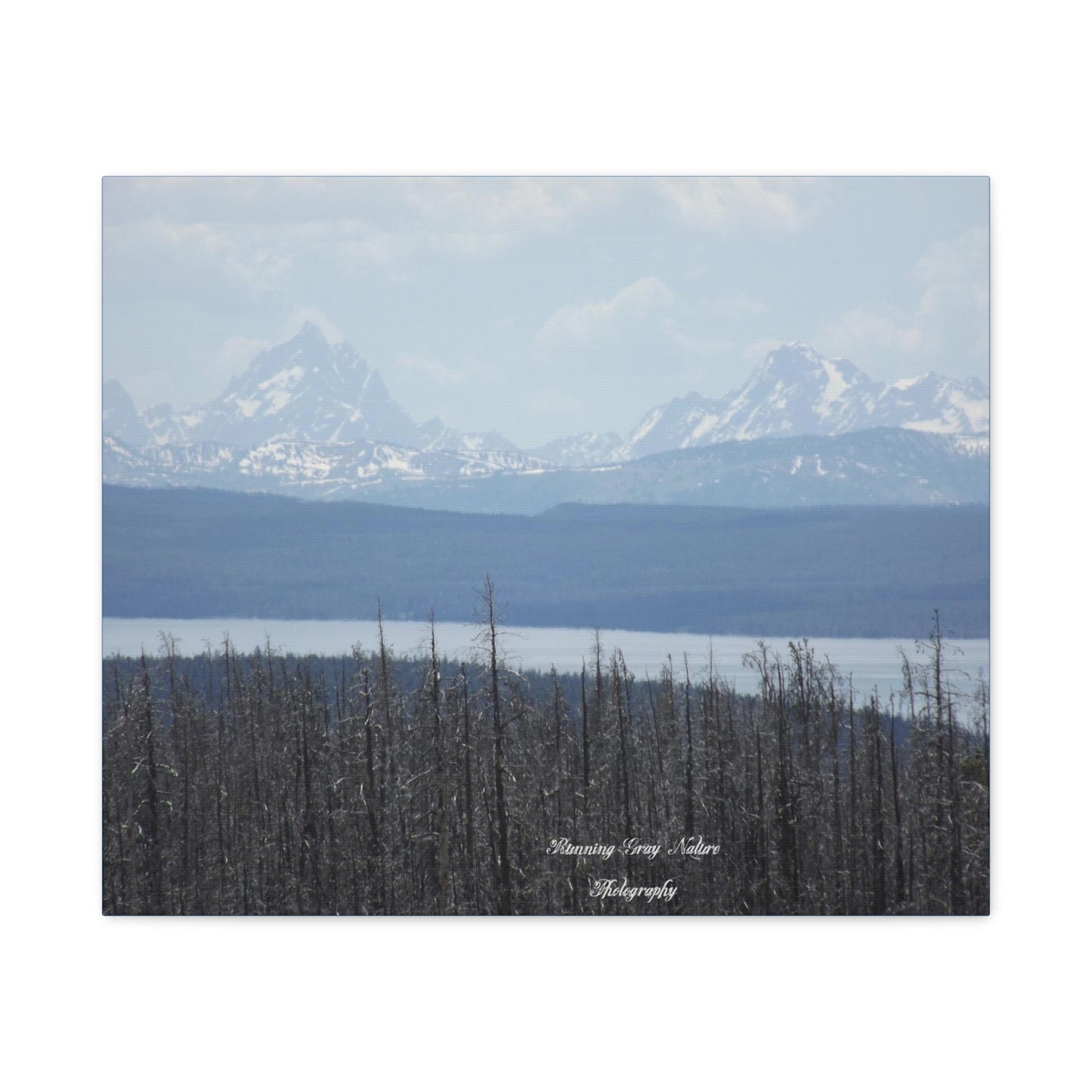 Teton Range Matte Canvas, Stretched, 1.25"