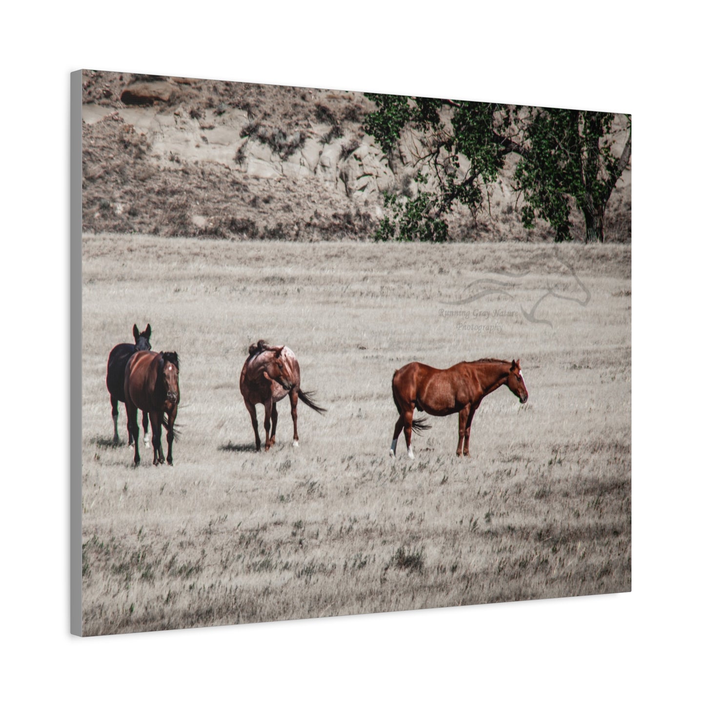 Not everything is Black and White