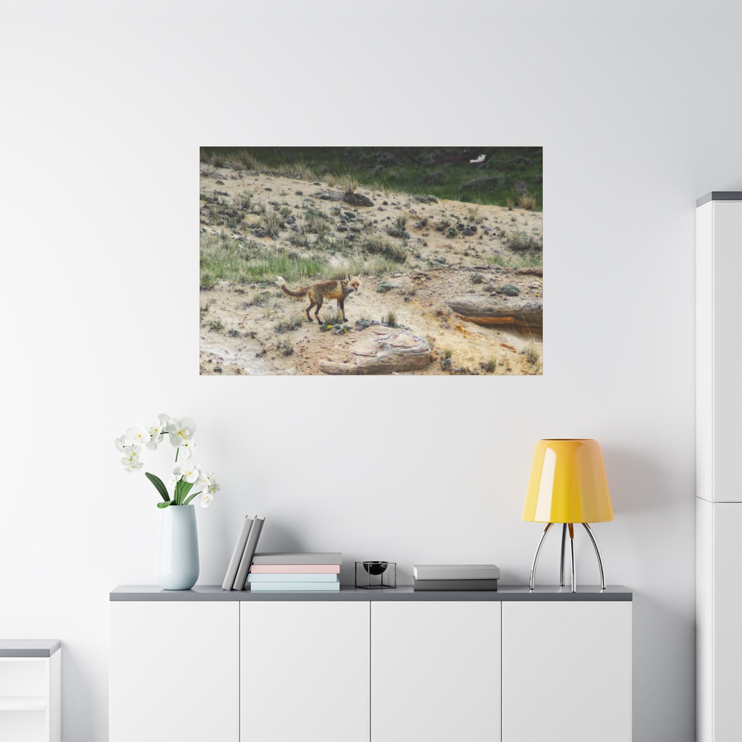 Swift fox and an Eagle