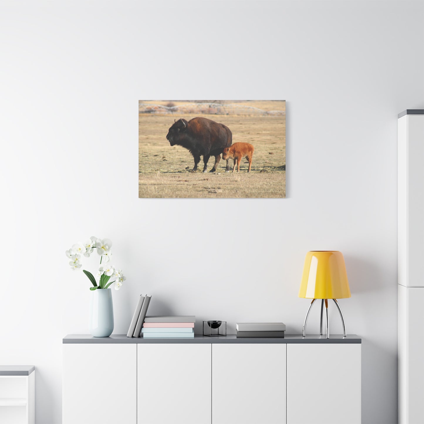 Momma and Baby Buffalo Matte Canvas, Stretched, 1.25"