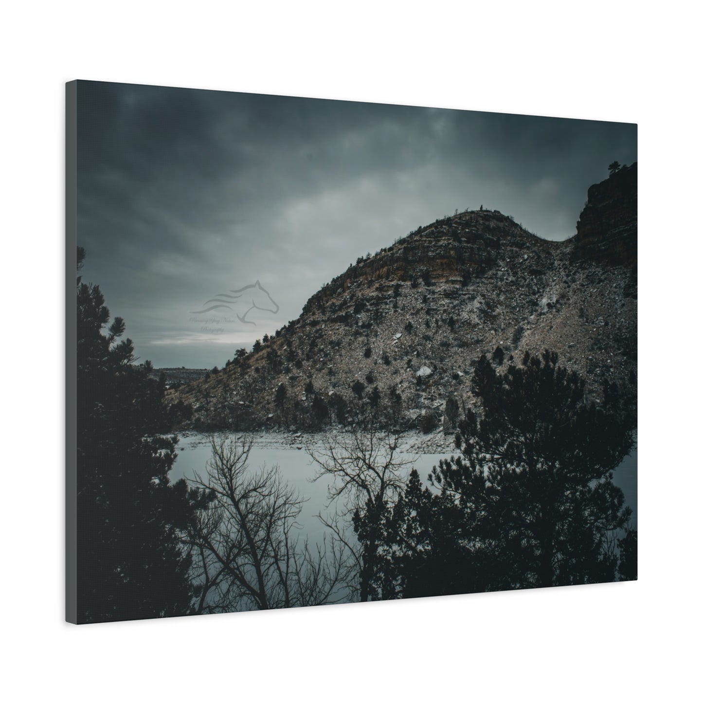 Moody Landscape Canvas