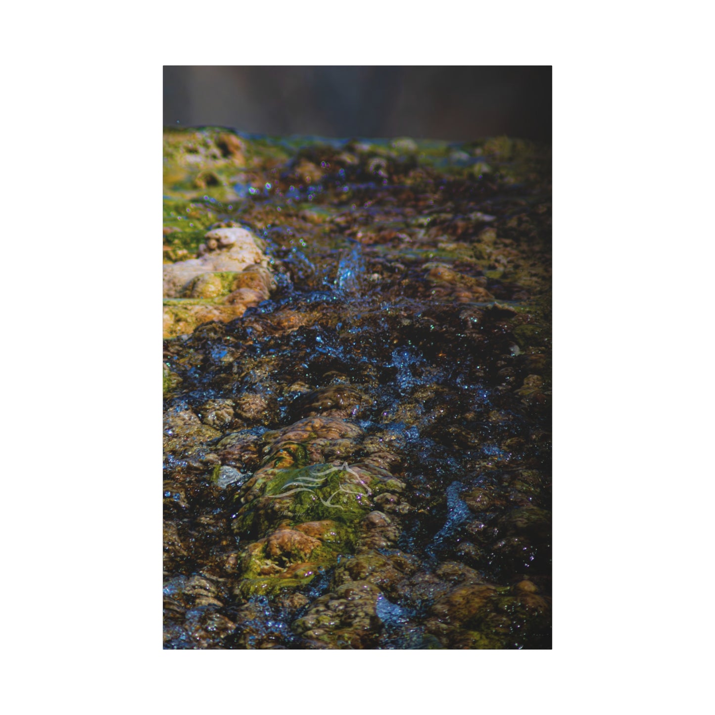 Hot Springs Waterfall Canvas