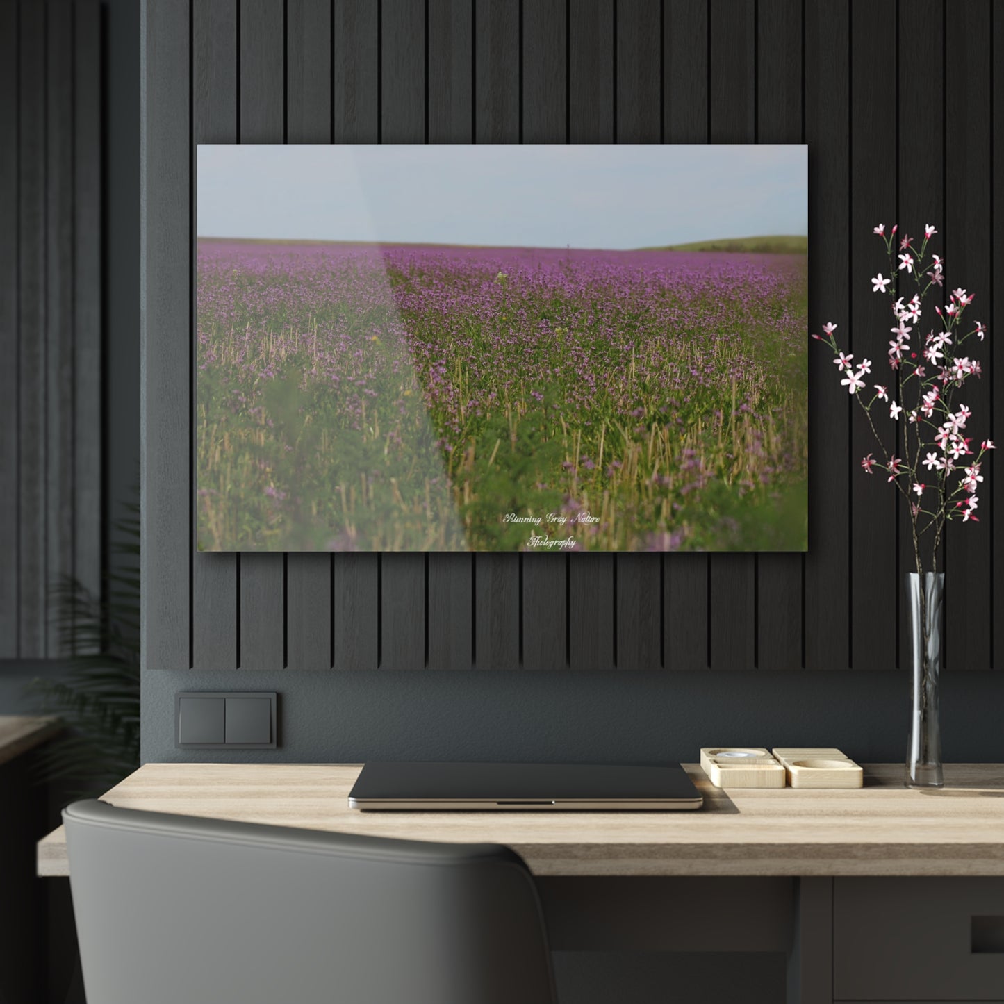 Purple Dead Nettle Field Acrylic Prints