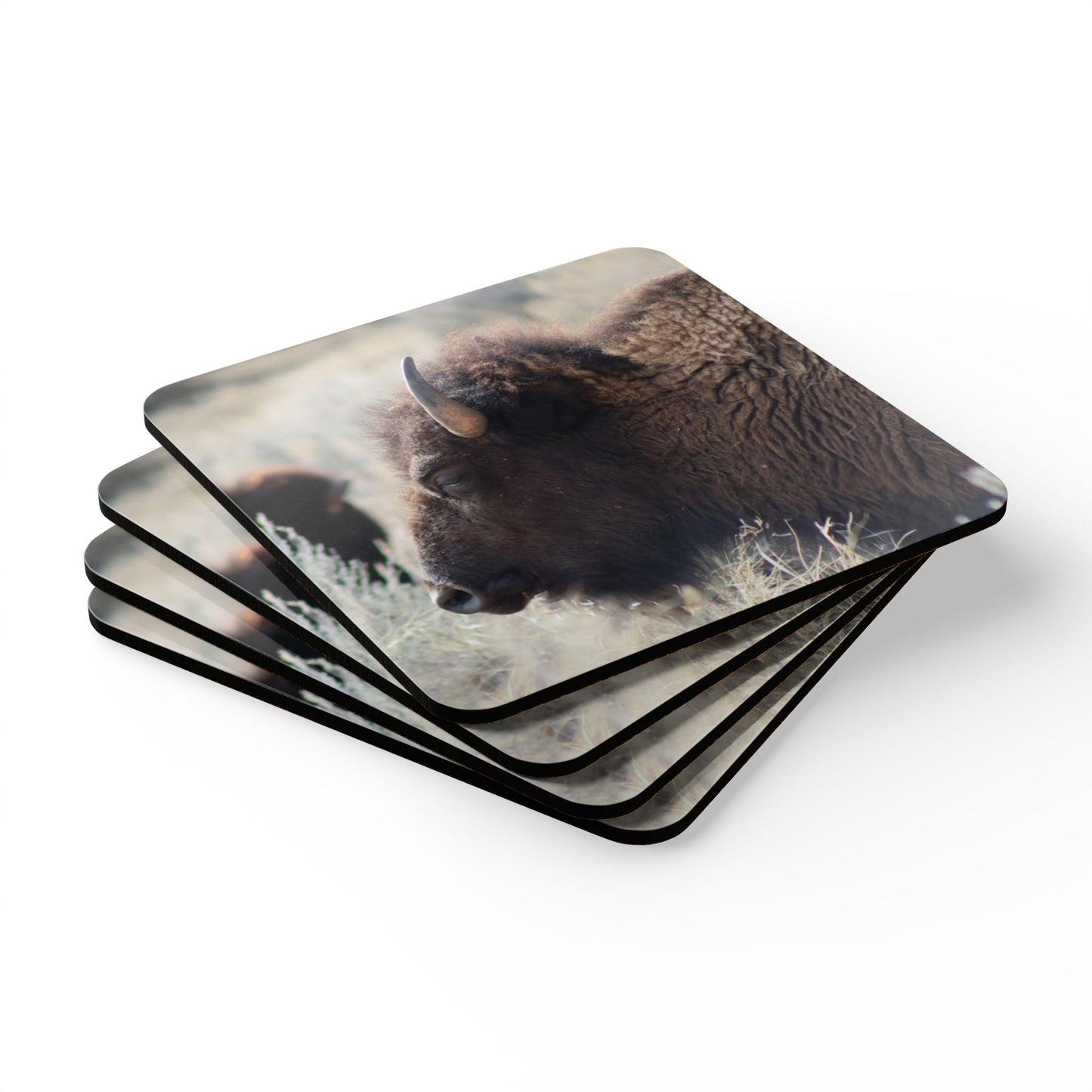 Buffalo Corkwood Coaster Set