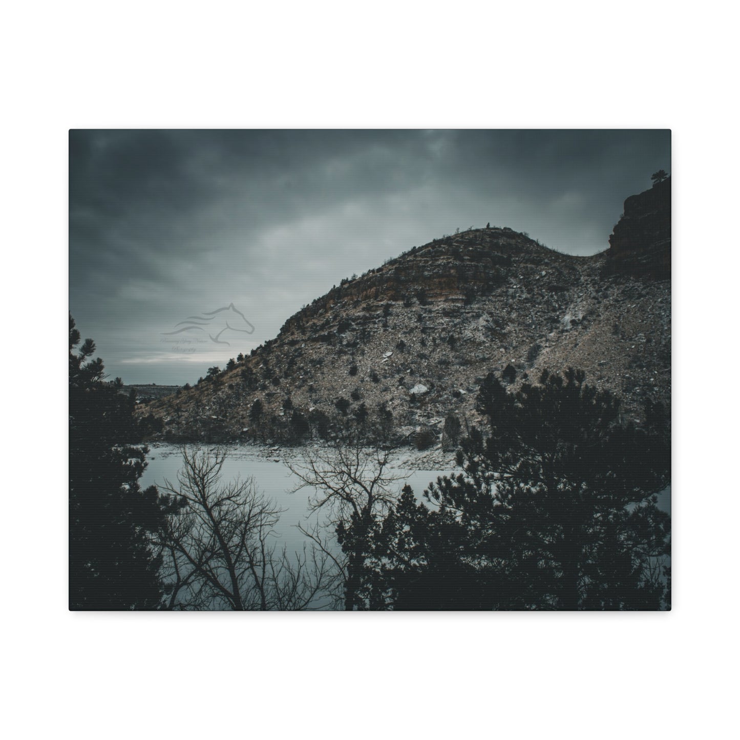 Moody Landscape Canvas