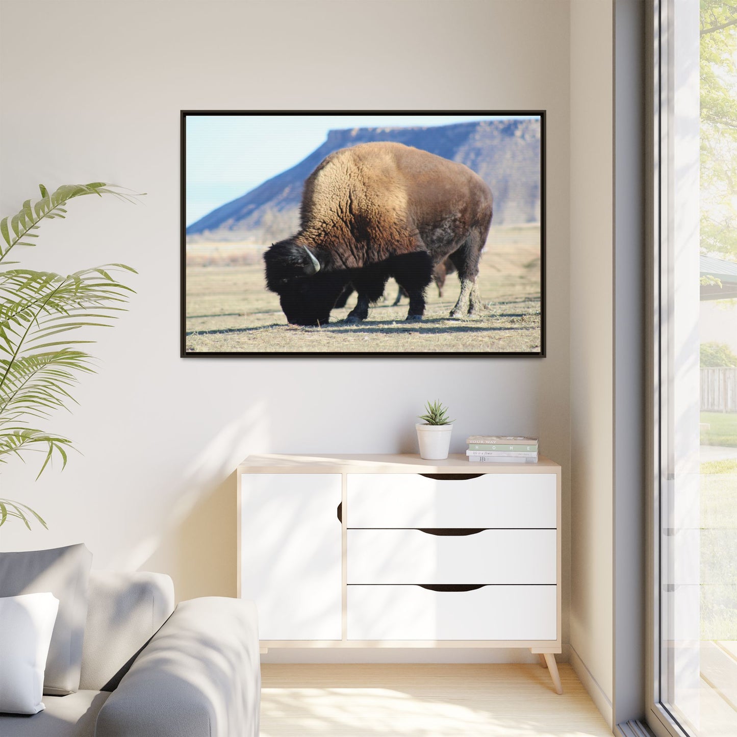 Big Daddy Buffalo Framed Canvas