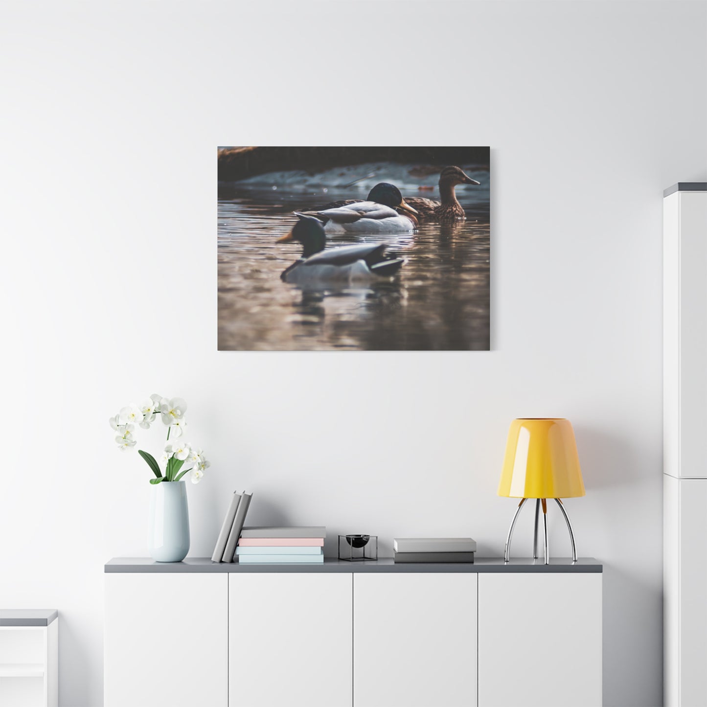 Mallard Ducks Canvas