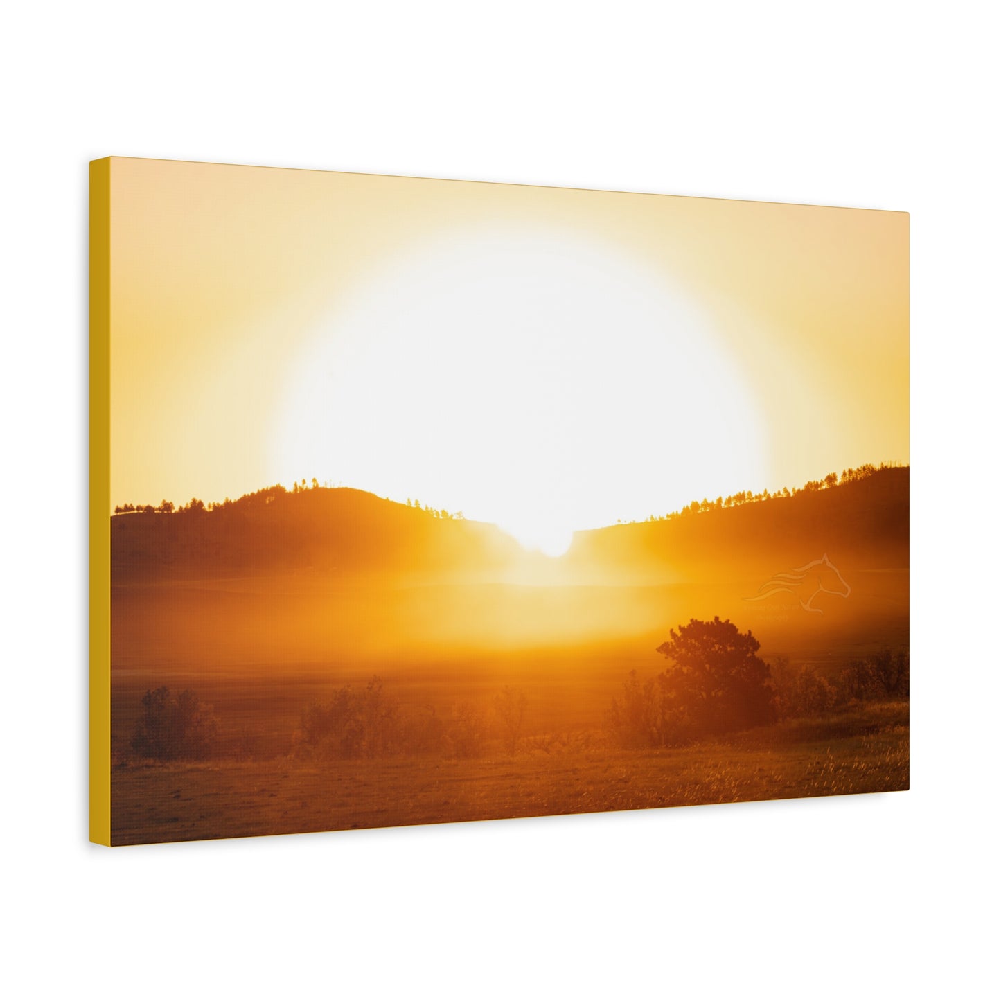 Buffalo Round Up Sunrise Canvas