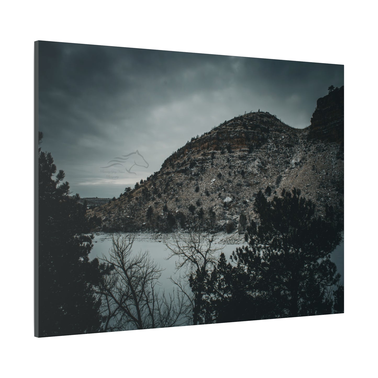 Moody Landscape Canvas