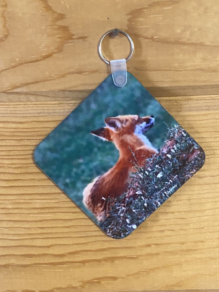 Red Tail Fox Key Chain