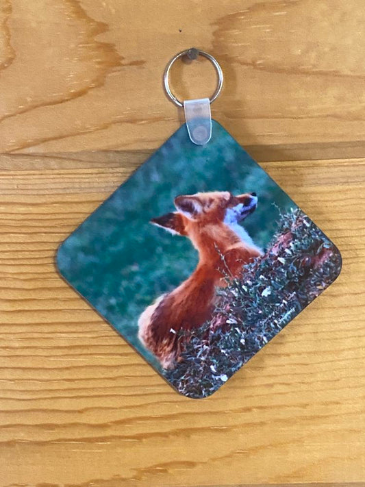 Red Tail Fox Key Chain