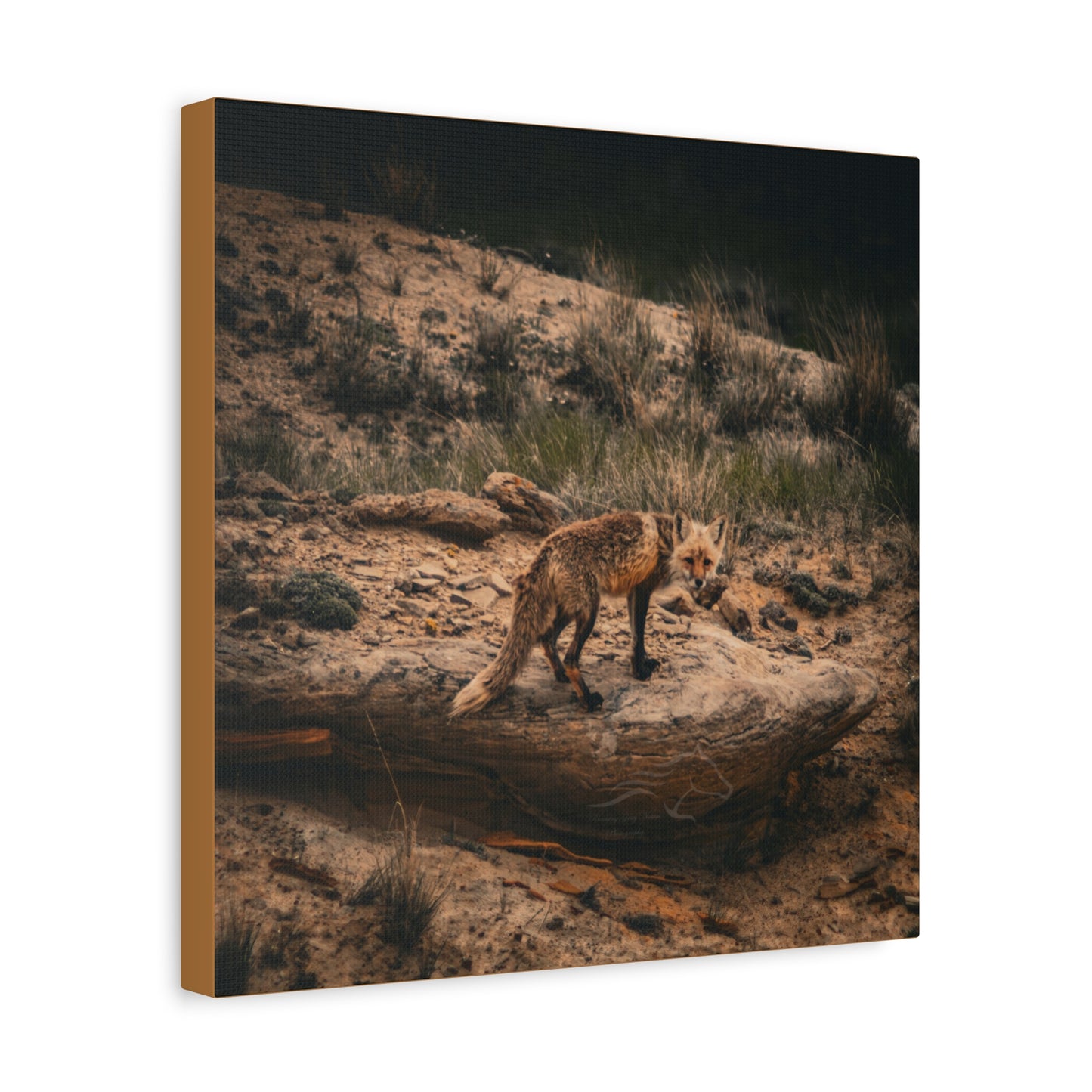 Rustic Fox Canvas