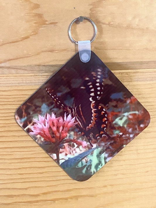 Black Butterfly Key Chain