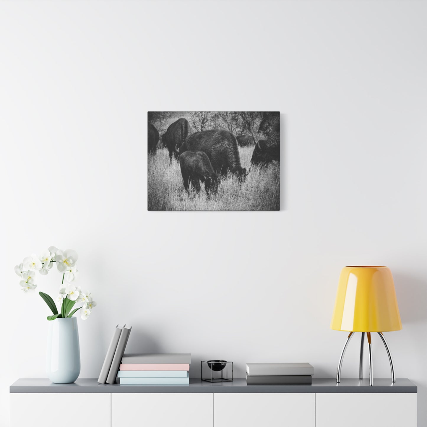 Black and White Buffalo Canvas