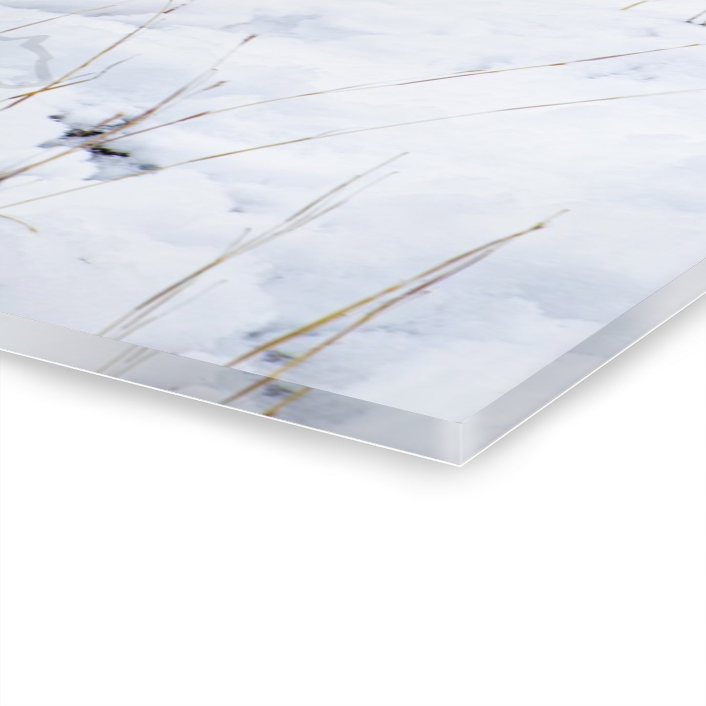 Deer Antlers in February Acrylic