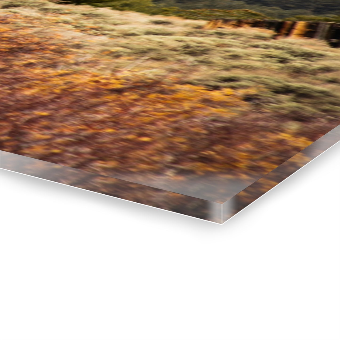 Rustic Landscape Acrylic