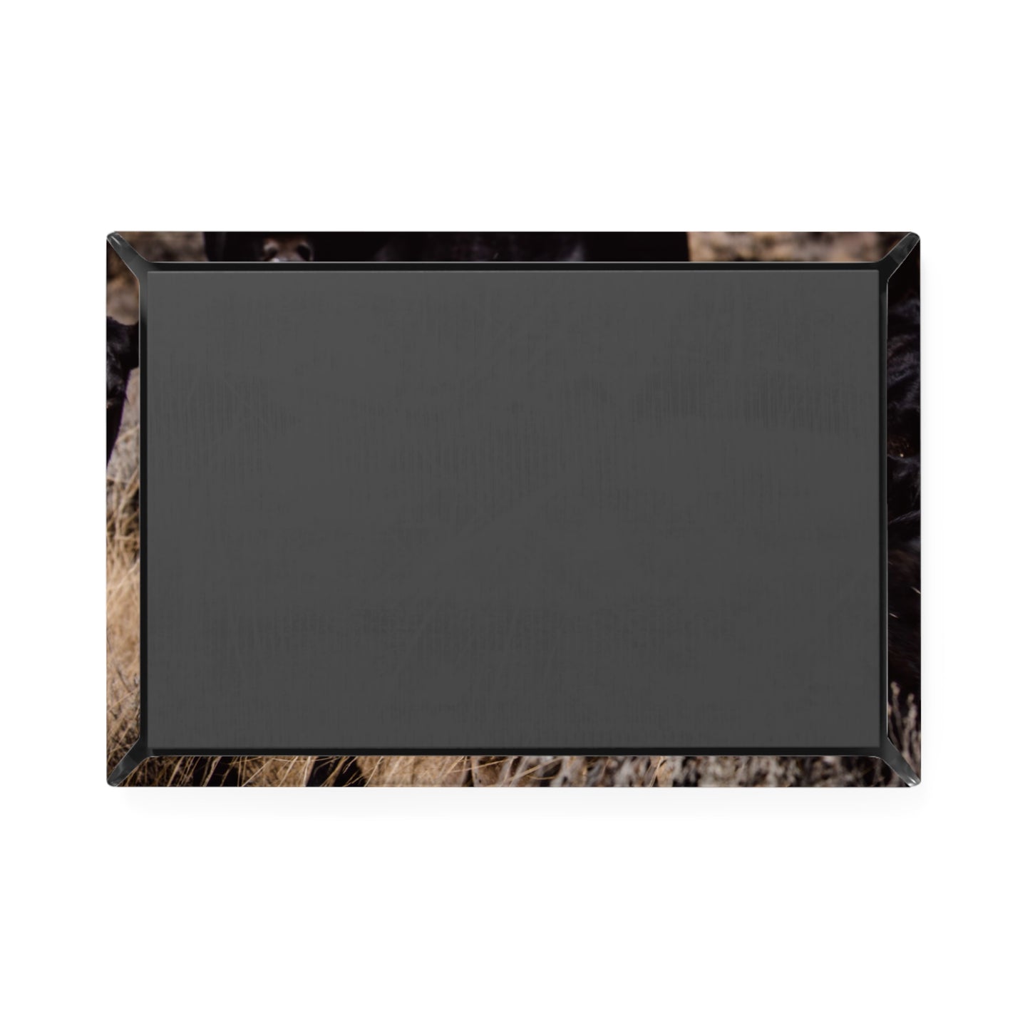 Baby Blonde Calf Magnet