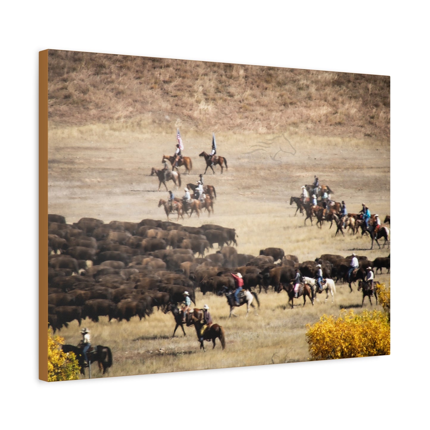 Cowboys and Buffalos Canvas