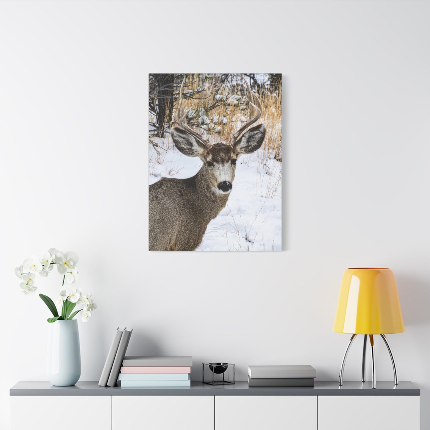 Deer Antlers in February Canvas