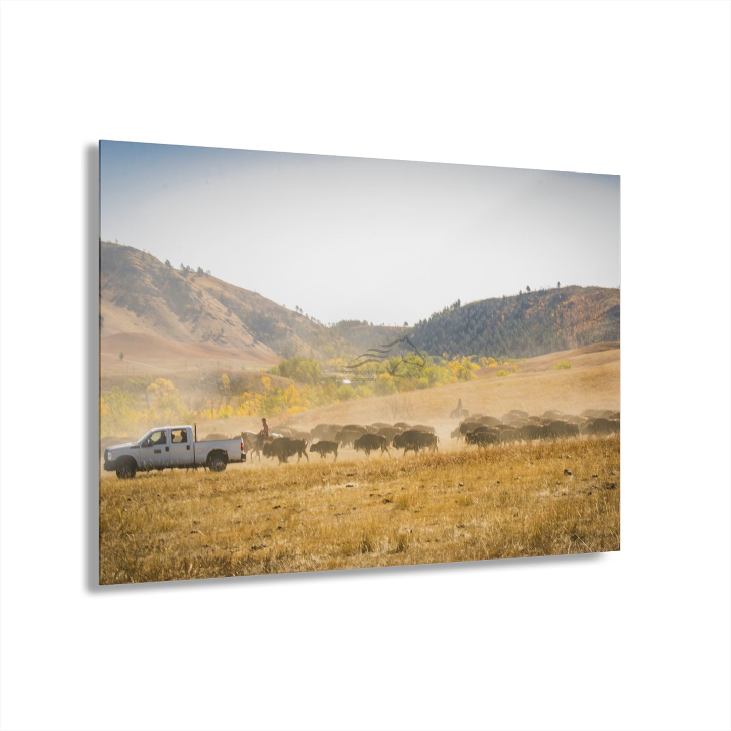 Trucks in the Buffalo Round Up Acrylic