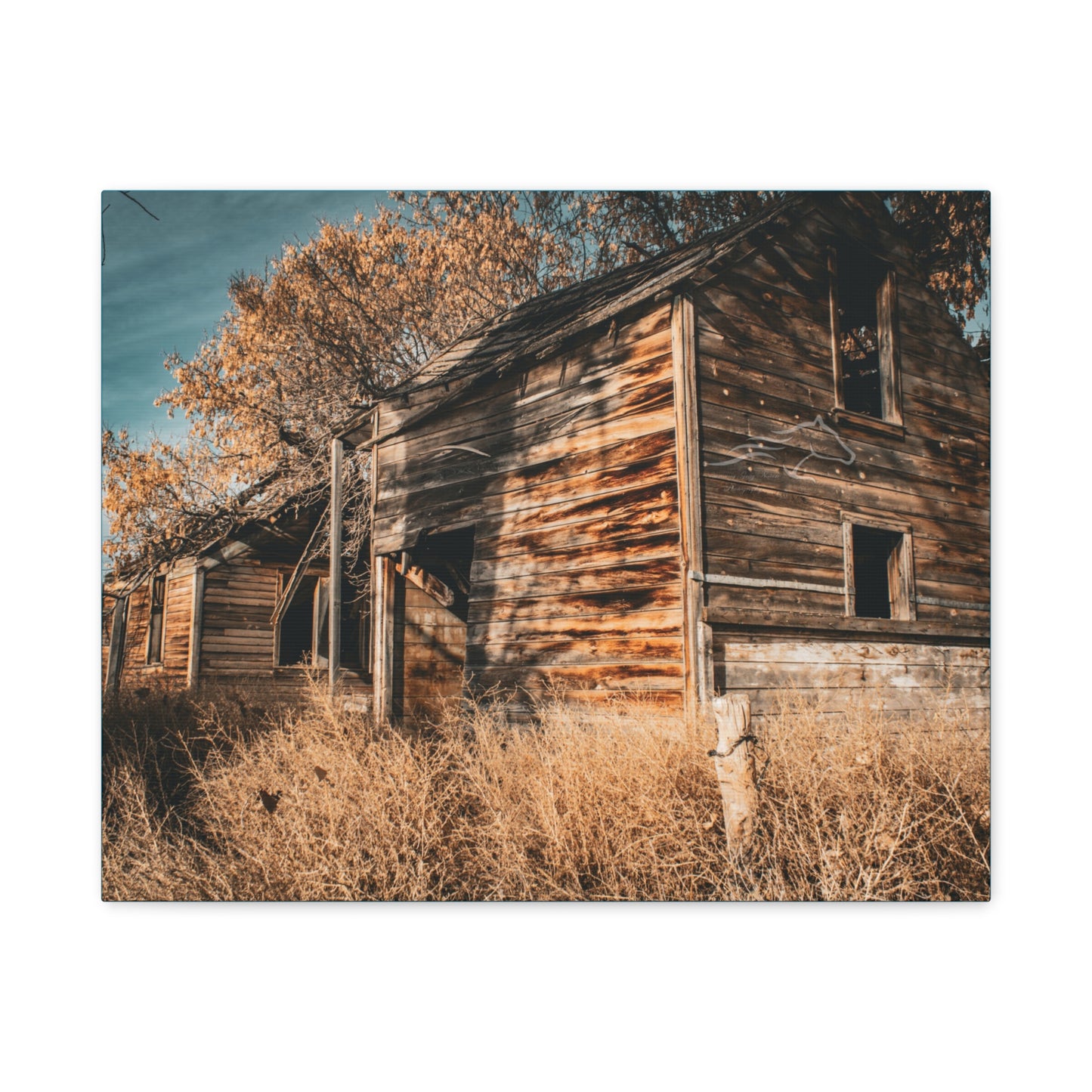 Vintage Cottage Canvas