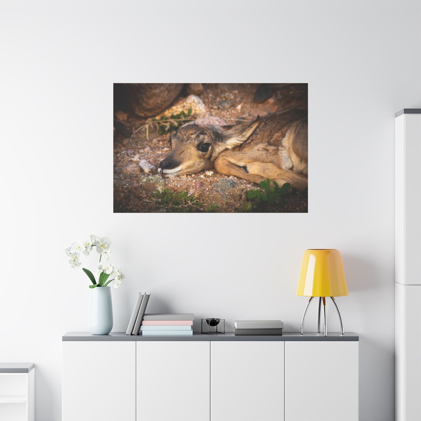Baby Antelope Canvas