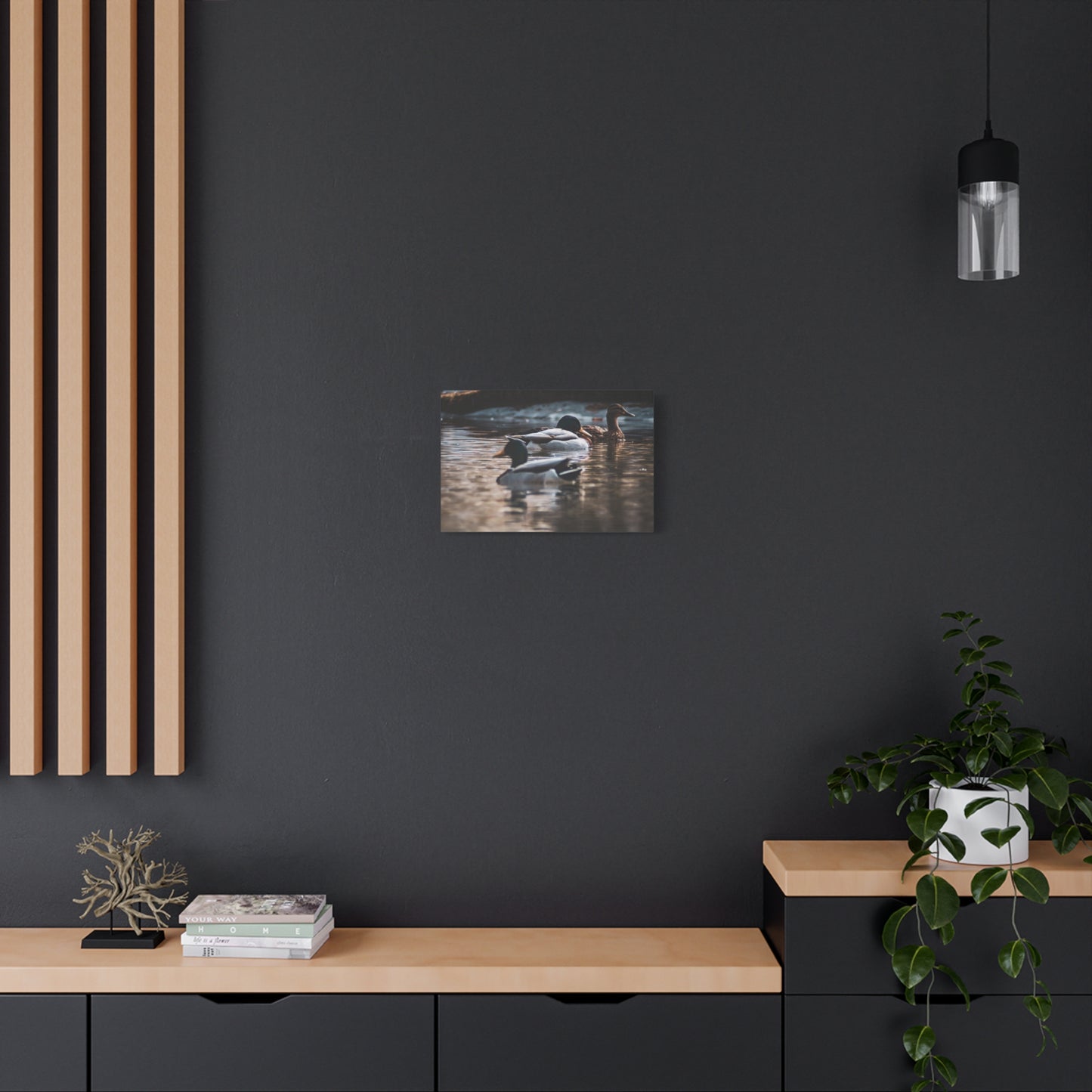 Mallard Ducks Canvas