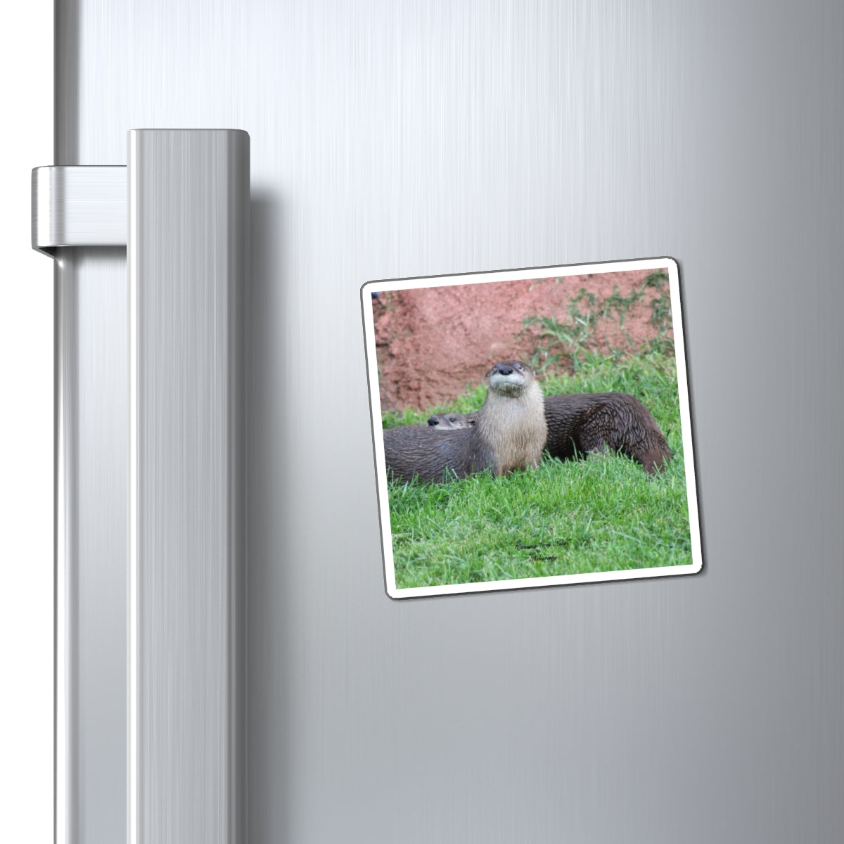 Otter Magnets