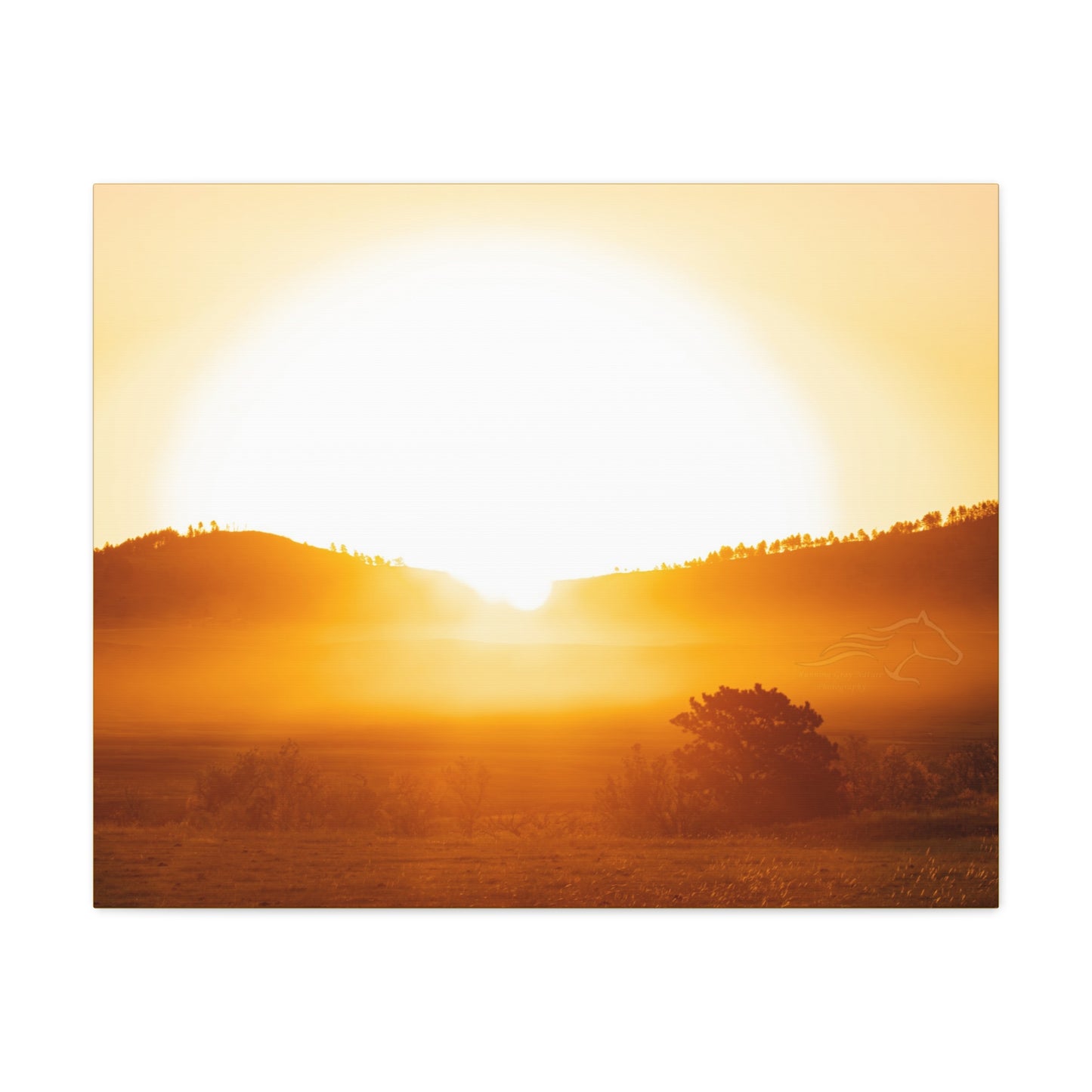 Buffalo Round Up Sunrise Canvas
