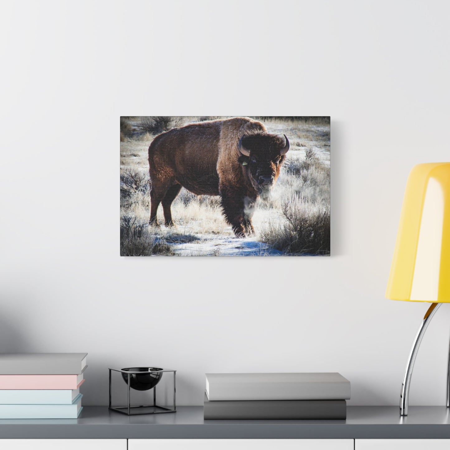 Early Morning Buffalo Canvas