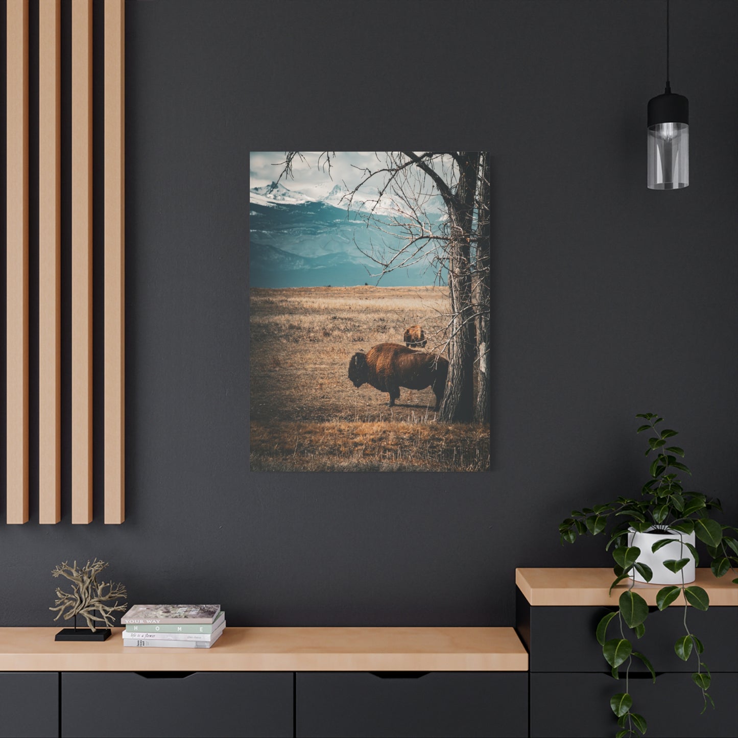 Rustic Bison Mountain Canvas