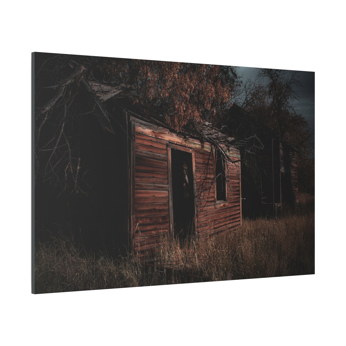 Haunting Rustic Canvas