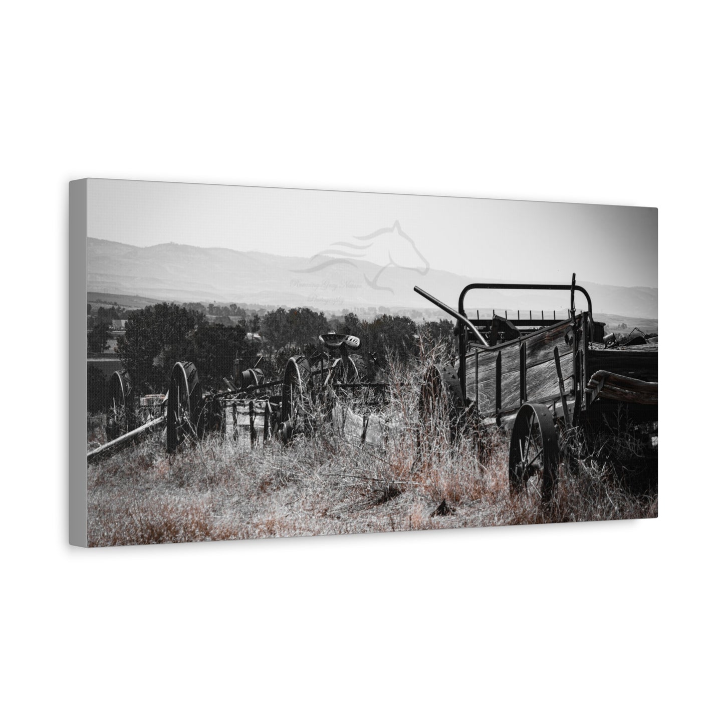 Rustic Black and White Wagon Canvas