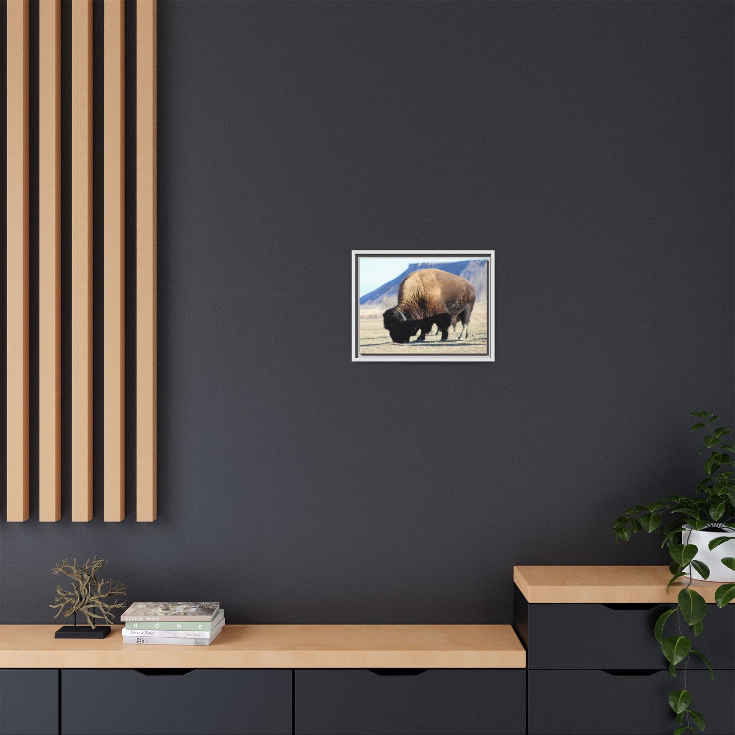 Big Daddy Buffalo Framed Canvas