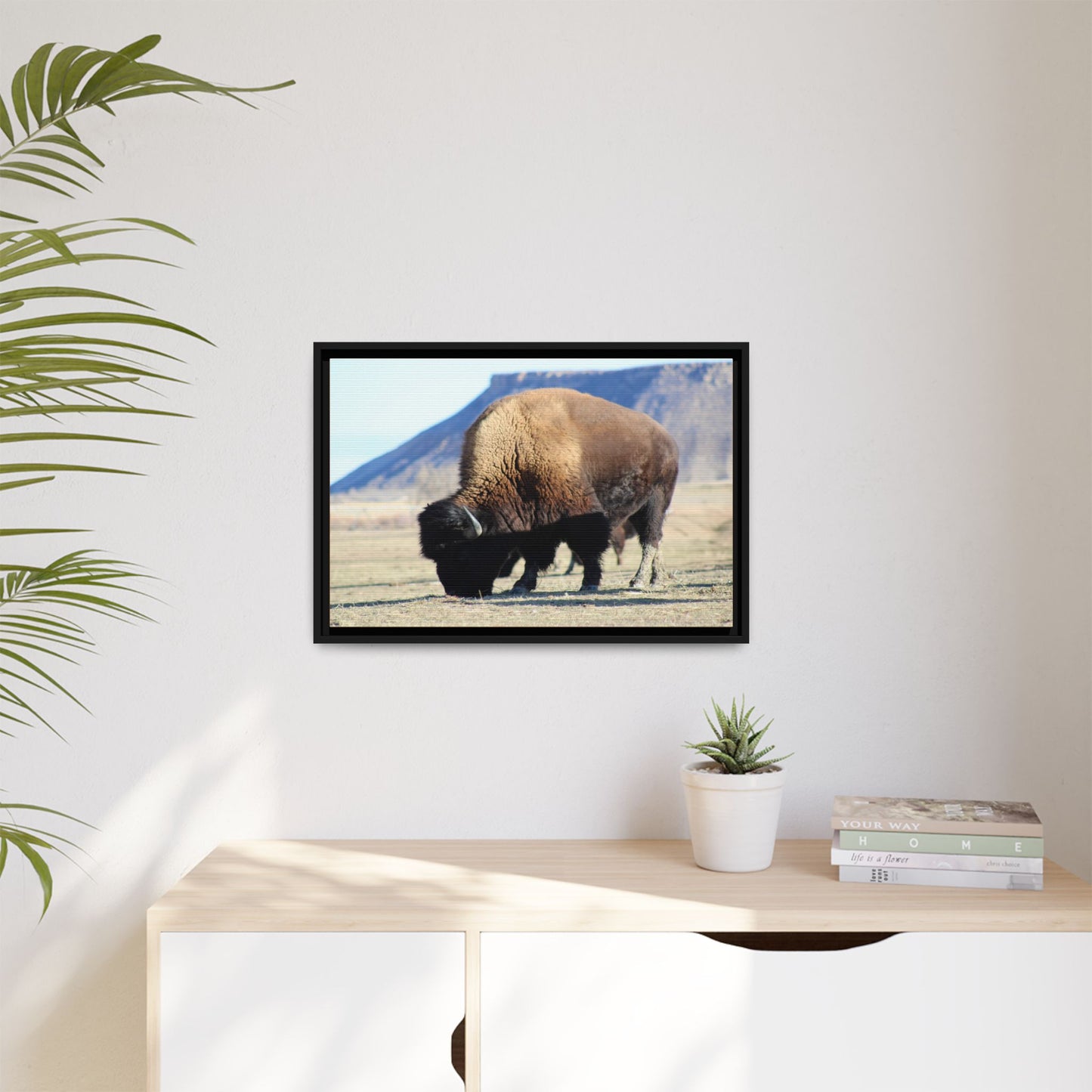 Big Daddy Buffalo Framed Canvas