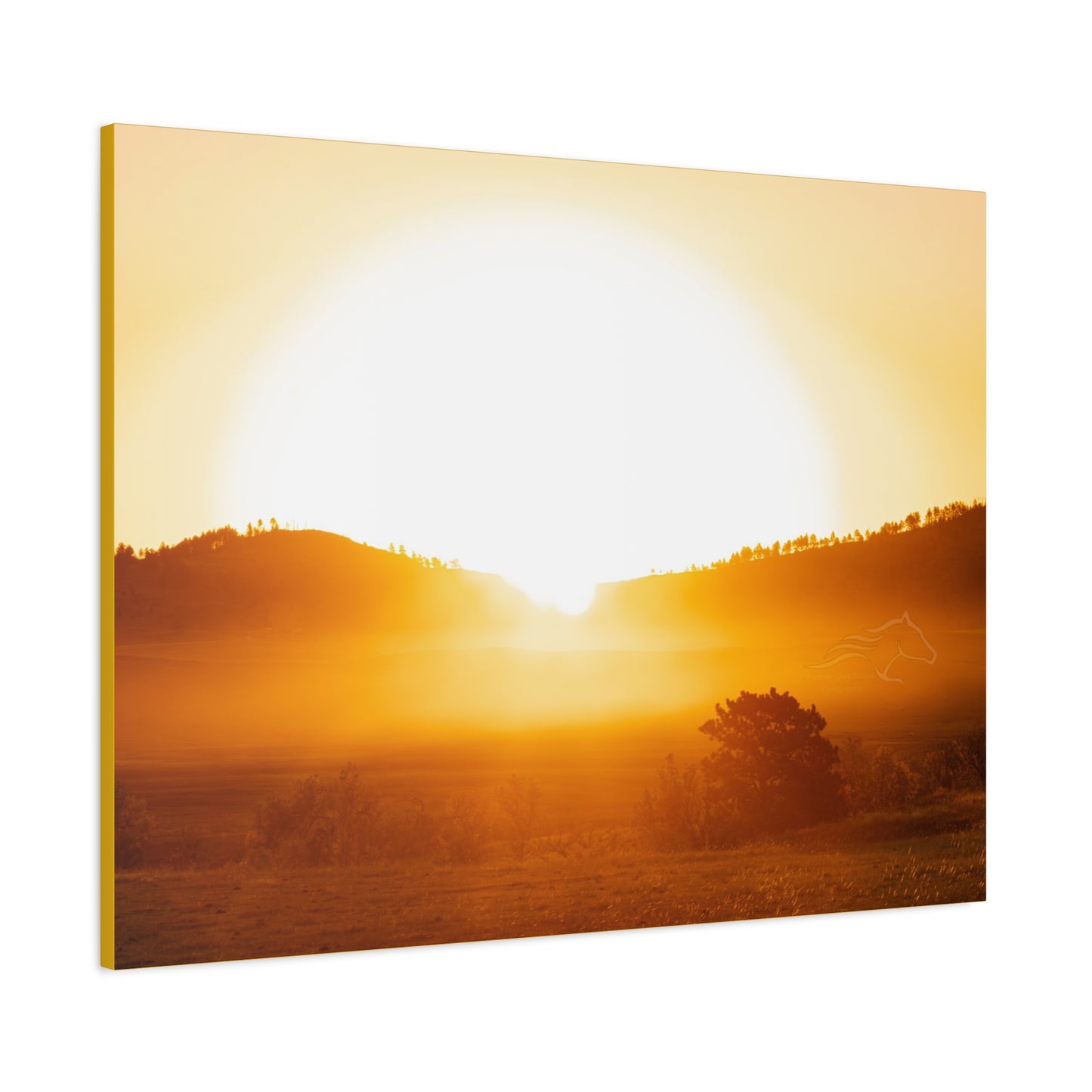 Buffalo Round Up Sunrise Canvas