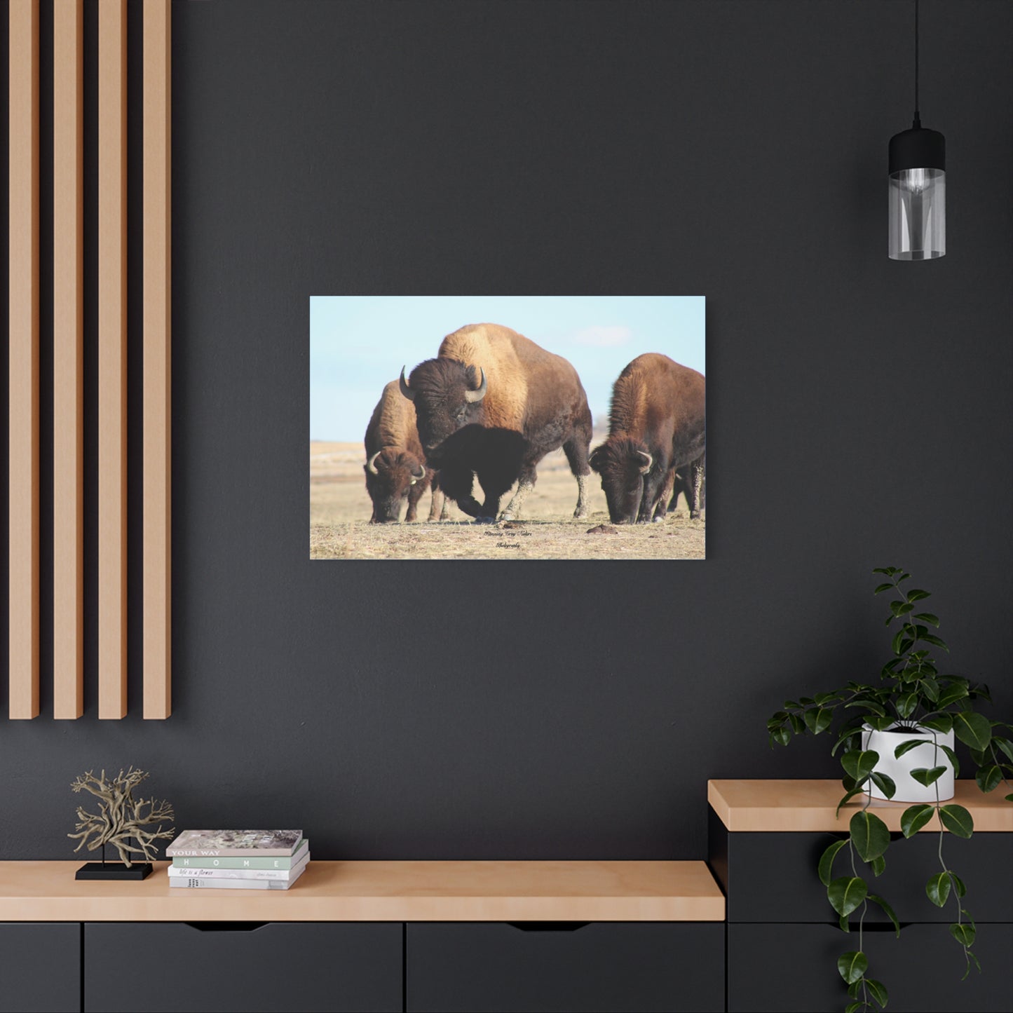 Buffalo Herd Matte Canvas, Stretched, 1.25"