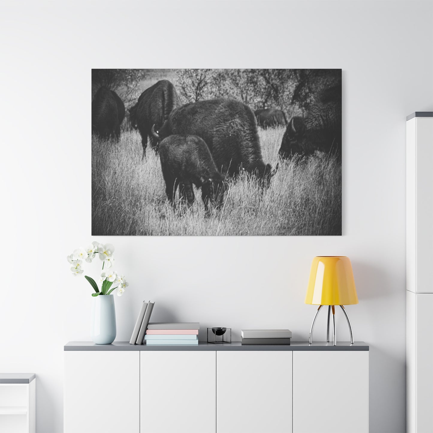 Black and White Buffalo Canvas