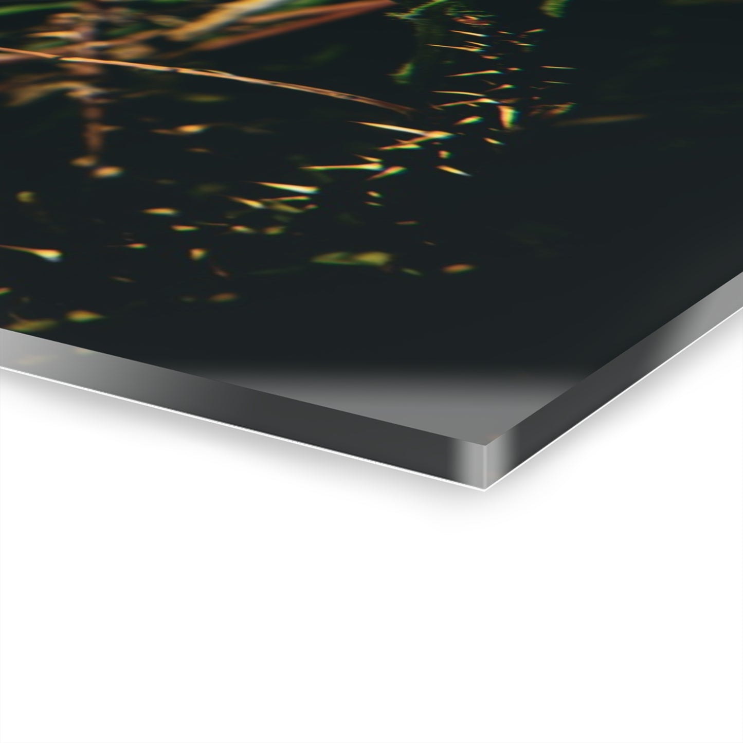 Checkerspot Butterfly Acrylic